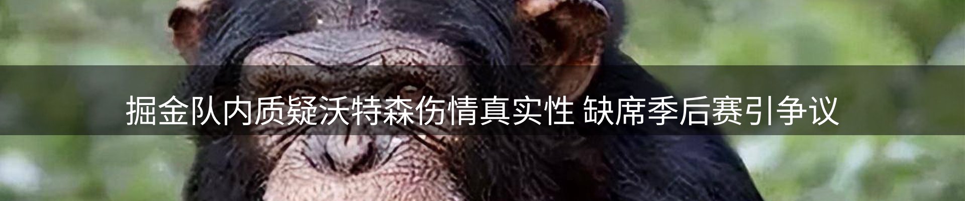 新闻中心
